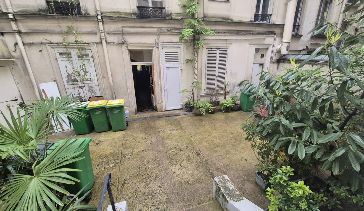 cour